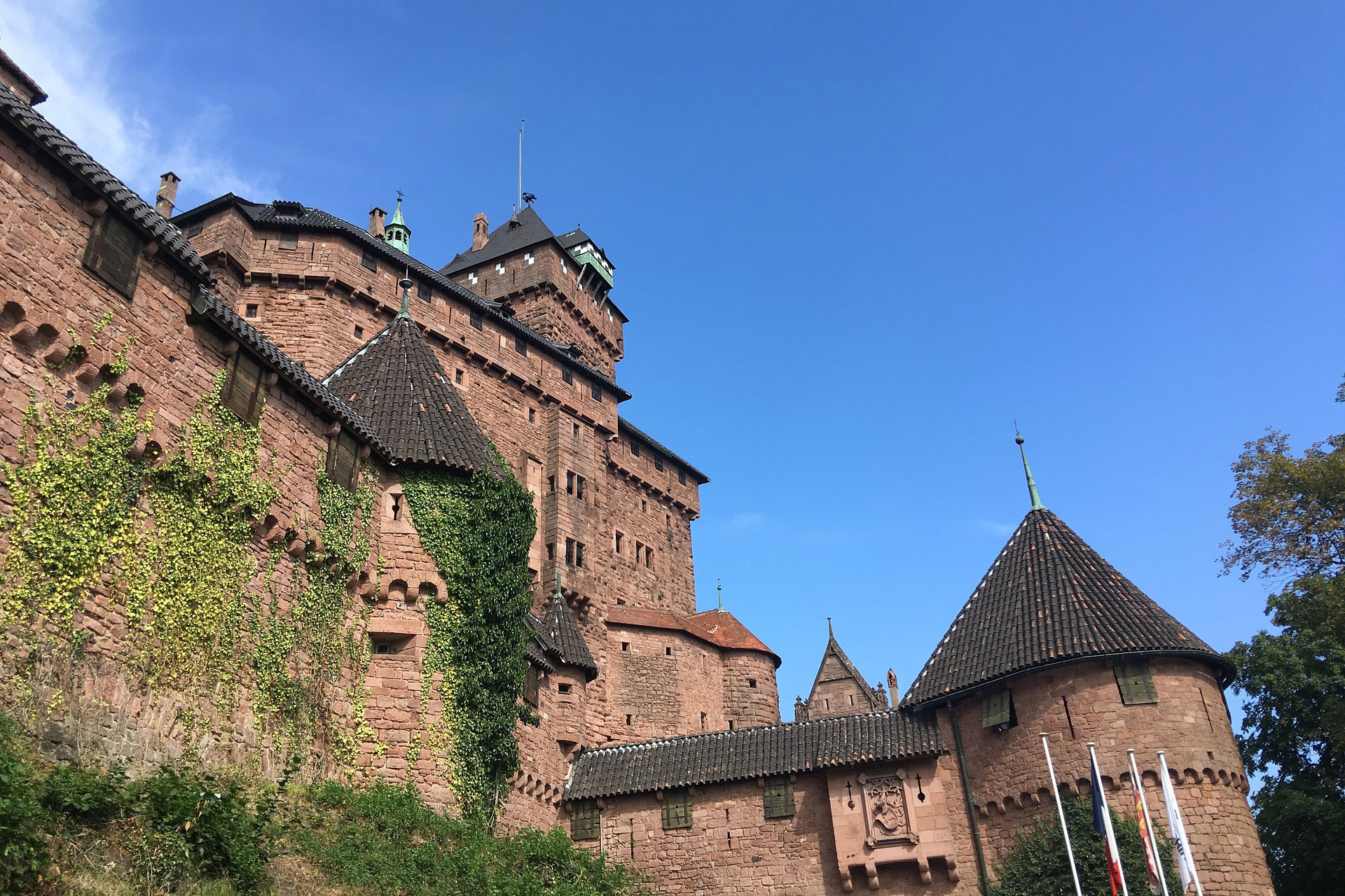 Château de Haut Koenigsbourg - Les Chambres de Clem'